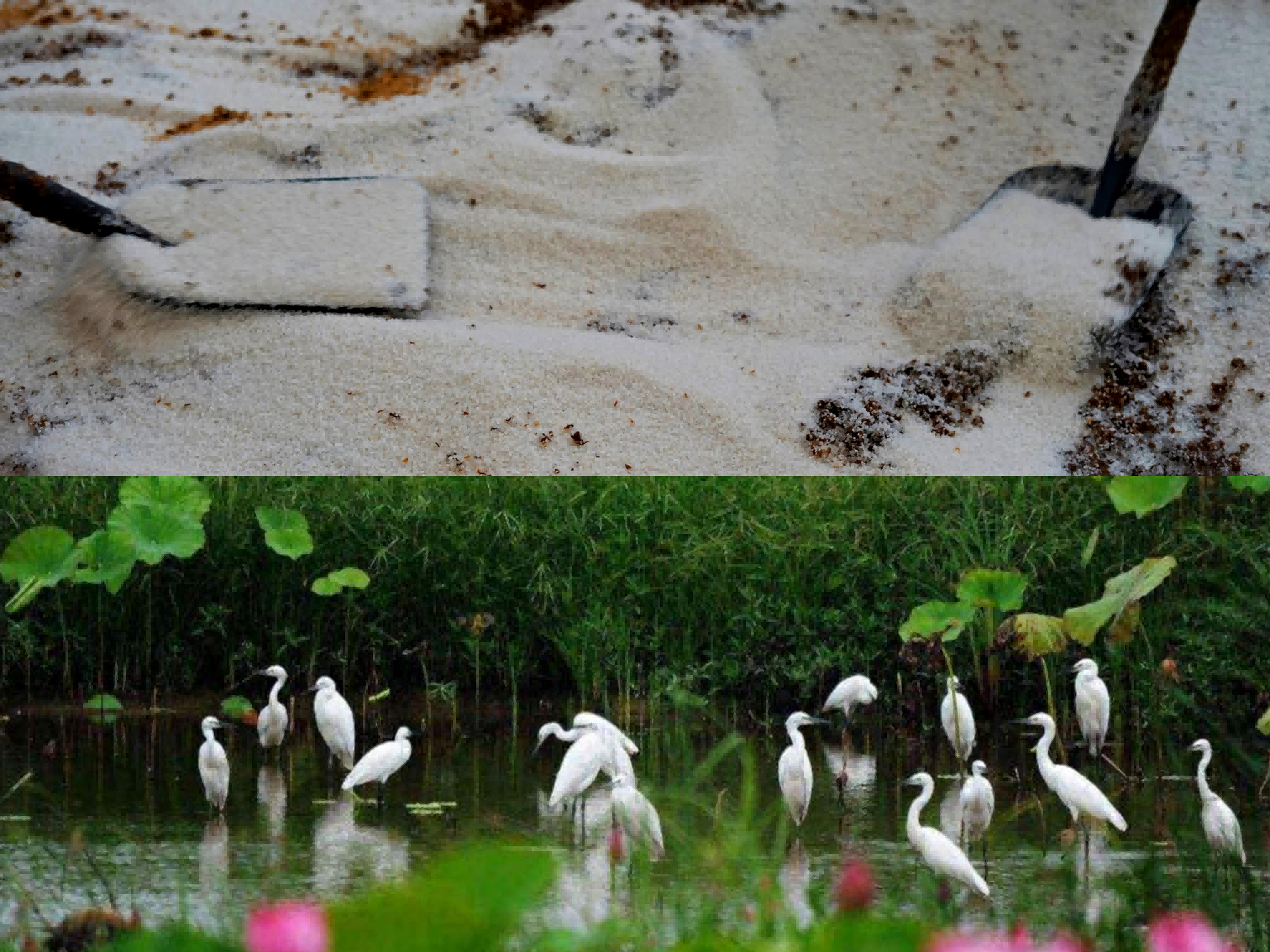 圖片 11.png 圖片 11.png